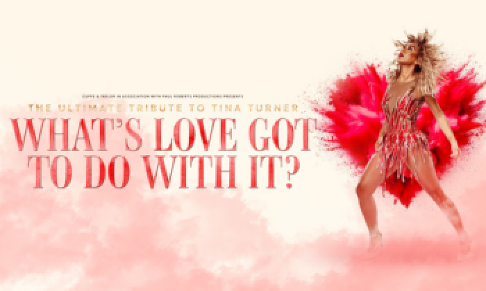 What's Love Got To Do With It? The Ultimate tribute to Tina Turner at the Victoria Theatre Halifax